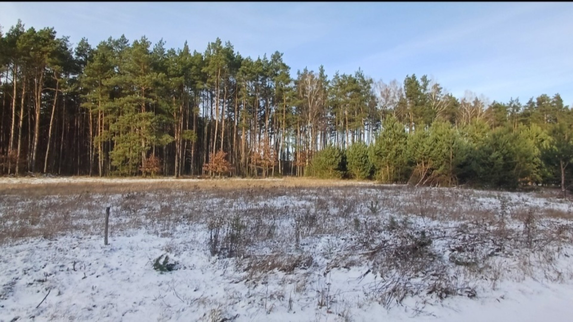 Działka na sprzedaż